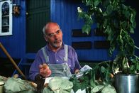 Löwenzahn Classics – Peter (Peter Lustig) hat sich auf dem Markt ein paar Säcke Pflanzkartoffeln besorgt. Er möchte wissen, wie Kartoffeln gepflanzt werden, wann sie blühen, wann sie reif sind und wie die unterschiedlichen Sorten schmecken.