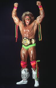 Biography: WWE Legends – Sa, 16.07., 20:15 Uhr