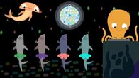 Animanimals – Der Oktopus legt Musik auf, die Haie tanzen, der Hammerhai schaut zu.