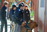 CSI: Vegas – v.li.: Greg Sanders (Eric Szmanda), Nick Stokes (George Eads) und Catherine Willows (Marg Helgenberger)
