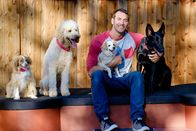 Der Hundetrainer - Lucky Dogs – Brandon McMillan