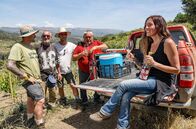 Abenteuer Spanien – Winzerin Sara Pérez und ihre Mitarbeiter kosten ihren Wein dort, wo er wächst: an den sonnigen Hügeln des Priorat.
