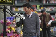 How I Met Your Mother – Um die richtige Frau zu finden, lässt Ted (Josh Radnor) nichts unversucht ...