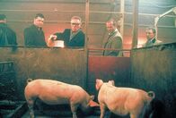 Snatch - Schweine und Diamanten – Haben weder Geld noch funktionsfähigen Boxer: Turkish (Jason Statham, r.) und Tommy (Stephen Graham, l.). Aber sie haben den eiskalten Schweinezüchter Brick Top (Alan Ford, M.) am Hals ...