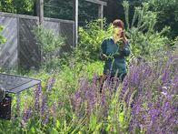 Querbeet ABC – Moderatorin Sabrina Nitsche erklärt im Querbeet Garten, wie Pflanzenvermehrung funktioniert, wie Kräuter angepflanzt und verarbeitet werden, Unkräuter sinnvoll genutzt werden und wie eine dauerhafte Kübelbepflanzung auf Balkon und Terrasse gelingt. An einem Thema werden Tipps und praktische Beispiele gezeigt und dazu Wissenswertes aus der Botanik verständlich erklärt. Einfach zum Nachmachen - auch für Nicht-Gärtner*innen.