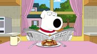 Family Guy – Brian Griffin