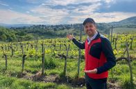 Was kostet... – Vor den Toren Wiens wird Wein angebaut. Johannes Zenglein wandert durch die Weinberge und findet heraus, ob die Unterkünfte etwas außerhalb der Stadt günstiger sind als im Zentrum.