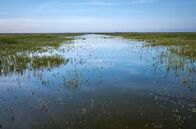Reich an Wasser – Im Nationalpark Coto de Doñana herrscht nur scheinbare Wildnis, denn seit den 1950er Jahren breitet sich die Intensivlandwirtschaft immer weiter aus.
