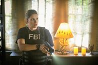 FBI: Special Crime Unit – FBI: Special Crime Unit (2021)