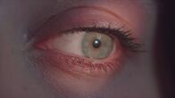 Evil Things - Das Böse lebt – Fr, 26.01., 22:15 Uhr