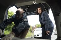 Law & Order: Special Victims Unit – Law & Order: Special Victims Unit (2015)