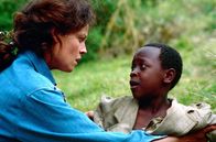 Gorillas im Nebel – Dian Fossey (Sigourney Weaver) erwischt Wilderer auf frischer Tat dabei, wie sie einige Gorillas töten und ein Jungtier entführen. Einen von ihnen kann sie aufhalten und sieht, dass er noch ein Kind ist.