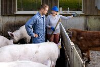 Landfrauenküche – Jan Fitze auf dem Hof von Erna Köfer in Schlatt: Jan Fitze lernt, wie man Schweine versorgt.