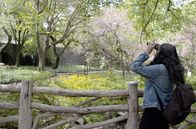 Inselwelt New York – Aurora gehört zu einer neuen Generation von Vogelliebhabern. Im Central Park kann sie mehr als 200 Vogelarten beobachten.