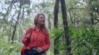 Terra X: Überleben! – Die Systemforscherin Antje Boetius untersucht Überlebensstrategien im extremen Naturraum Regenwald.