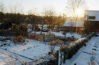 Ein Tag – Die Kälte ist oft erbarmungslos: Der Frost setzt der Natur und dem Garten zu und so zieht sich alles zurück oder verendet.