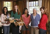 Desperate Housewives – Nachdem sich die Neuigkeit in der Wisterie Lane rumgesprochen hat, dass sich Adam vom Katherine (Dana Delany, r.) getrennt hat, schauen Lynette (Felicity Huffman, 2.v.r.), Bree (Marcia Cross, 2.v.l.), Gabrielle (Eva Longoria, M.) und Susan (Teri Hatcher, l.) selbstverständlich nach dem Rechten ....