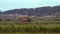 Lost Places – Die grasbedeckten Erhebungen auf der koreanischen Insel Jeju stammen aus der Zeit des Zweiten Weltkriegs. Die verfallenen Militäranlagen sind Relikte aus der japanischen Besatzungzeit.
