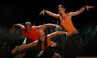 Tele-Gym – Mit den Dance Workouts wird der gesamte Körper von Kopf bis Fuß trainiert. Die acht Folgen haben unterschiedliche Schwierigkeitsstufen und verschiedene tänzerische Stilrichtungen: von der klassischen Dance-Aerobic über sexy Latino bis hin zu erdigen Afro-Kombinationen und hippen Funk-Moves.