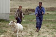 Lamb – Lamb Aufregung im Schafsstall: Noomi Rapace als Maria, Hilmir Snær Guðnason als Ingvar Copyright: SRF/Filmcoopi