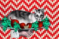 Mahlzeit! – Für die meisten Menschen in Europa ist es eine Horrorvorstellung, Hunde oder Katzen zu verzehren. Doch andernorts ist das durchaus noch üblich.