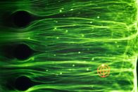 P.M. Wissen – Details im Inneren eines Biochips