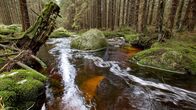Der Harz – Der Harz ist reich an Niederschlägen, die zahlreiche Waldbäche und Gebirgsflüsse füllen.