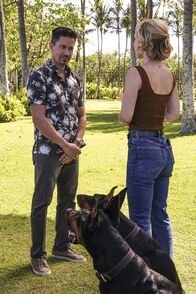 Magnum P.I. – Do, 23.06., 02:55 Uhr