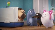 Pets 2 – So, 01.01., 12:10 Uhr