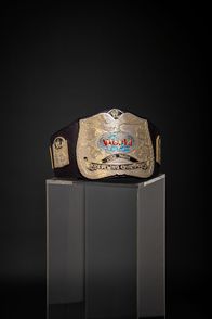 Die WWE-Schatzjäger – (2. Staffel)