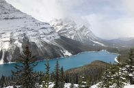 alpha-expedition: Mit dem Zug ... – Der türkisblaue Peyto Lake im Banff Nationalpark - gesehen vom Aussichtspunkt "Bow Summit".