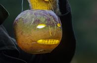 Halloween - Mythos der Kelten – Sa, 25.10., 20:15 Uhr