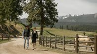 Yellowstone – John Dutton (Kevin Costner) und Clara Brewer (Lilli Kay)