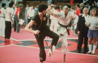 Karate Kid – Daniel (Ralph Macchio, mitte r.)