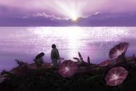 Mushi-Shi – Sa, 07.09., 03:30 Uhr