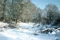 Magische Weihnachten – Winterlandschaft in Drösing.