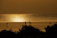 Wilder Oman – Die Landschaft in Oman ist so vielfältig wie in nur wenigen arabischen Ländern. Die Palette reicht von steilen Gebirgszügen über endlose Wüsten bis hin zu fruchtbaren Oasen und einer wunderschönen Küste.