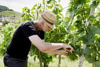 P.M. Wissen – Wie sieht der Weinbau in Zukunft aus ?