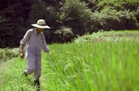 Satoyama – In den sogenannten Satoyama leben Menschen im Einklang mit ihrer Umwelt: Sie schützen mit traditionellen landwirtschaftlichen Methoden das Ökosystem und seine Artenvielfalt und nutzen Naturereignisse für ihre Zwecke.