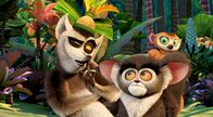 King Julien – Do, 20.10., 06:05 Uhr