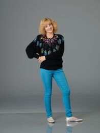 Die Goldbergs – Die Goldbergs (2013)