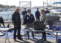Navy CIS: L.A. – Ermitteln gemeinsam, als ein Raketentest gehackt und dadurch eine zivile Motoryacht versenkt wurde: Callen (Chris O'Donnell, r.), Sam (LL Cool J, l.) und Coast Guard Special Agent Wong (James Huang, M.) ...