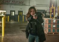 Chicago P.D. – Chicago P.D. (2014)