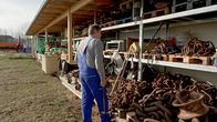 Re: – Hier lagert Roberto seine Schätze die Paul aus der Ostsee birgt. Weitere Fotos auf Anfrage.