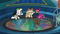 Doki – v.l.) betrachten das Great Barrier Reef.