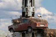 Unser Mittelmeer – Weißstörche nisten auf einer Skulptur des Künstlers Wolf Vostell