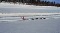 Alaska - Eisige Tradition – Jody Potts-Joseph beim Mushing mit ihrem Schlitten und ihren Hunden (National Geographic)