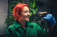 Zoo und so - Tierisch wild! – Pip