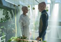 Star Trek: Discovery – Star Trek: Discovery (2019)