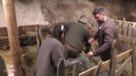 Die Alm - Promischweiß und Edelweiß – Titel: Die Alm; Staffel: 2021; 1; Folge: 1; Person: Katharina Eisenblut; Ioannis Amanatidis; Alm-Öhi; Copyright: ProSieben; Fotograf: ProSieben; Dateiname: 2256908.jpg; Rechtehinweis: Dieses Bild darf bis eine Woche nach Ausstrahlung honorarfrei fuer redaktionelle Zwecke und nur im Rahmen der Programmankuendigung verwendet werden. Spaetere Veroeffentlichungen sind nur nach Ruecksprache und ausdruecklicher Genehmigung der Seven.One Entertainment Group GmbH moeglich. Nicht fuer EPG! Verwendung nur mit vollstaendigem Copyrightvermerk. Das Foto darf nicht veraendert, bearbeitet und nur im Ganzen verwendet werden. Es darf nicht archiviert werden. Es darf nicht an Dritte weitergeleitet werden. Aneinanderreihung/Zusammenlegung/Kopplung von Bildern zum Zweck der Erstellung von Slide-Shows o.ä. nicht gestattet; Verbindung/Einfügen/Anfügen von Werbung nicht gestattet. Bei Fragen: foto@seven.one Voraussetzung fuer die Verwendung dieser Programmdaten ist die Zustimmung zu den Allgemeinen Geschaeftsbedingungen der Presselounges der Sender der Seven.One Entertainment Group GmbH.